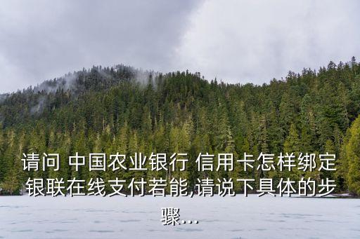 請(qǐng)問 中國(guó)農(nóng)業(yè)銀行 信用卡怎樣綁定 銀聯(lián)在線支付若能,請(qǐng)說下具體的步驟...