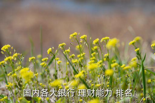 國內各大銀行 理財能力 排名