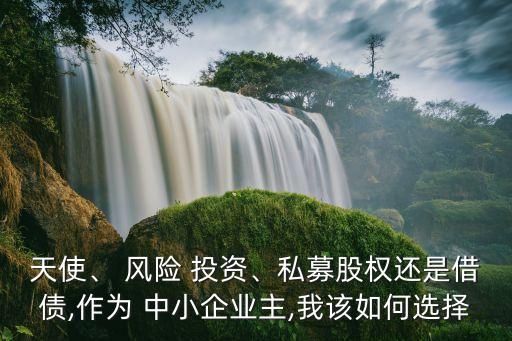 天使、 風(fēng)險(xiǎn) 投資、私募股權(quán)還是借債,作為 中小企業(yè)主,我該如何選擇