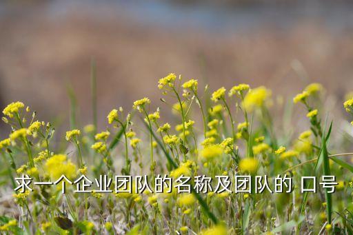 求一個(gè)企業(yè)團(tuán)隊(duì)的名稱及團(tuán)隊(duì)的 口號(hào)、