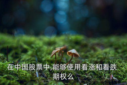 中國有個(gè)股期權(quán)嗎,個(gè)股期權(quán)有哪些股票