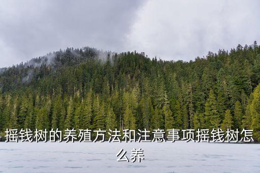 搖錢樹(shù)的養(yǎng)殖方法和注意事項(xiàng)搖錢樹(shù)怎么養(yǎng)