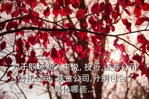 對(duì)于職場(chǎng)新人來(lái)說, 投行,證券公司,信托公司, 基金公司,分別包含了具體哪些...