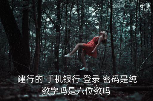 建行手機銀行登錄密碼幾位數(shù)
