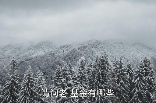 請(qǐng)問老 基金有哪些