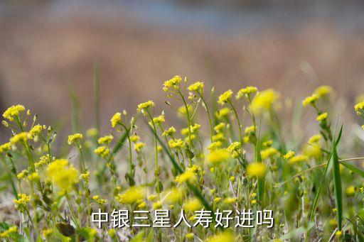 三星公司全稱(chēng),三星顯示器公司全稱(chēng)