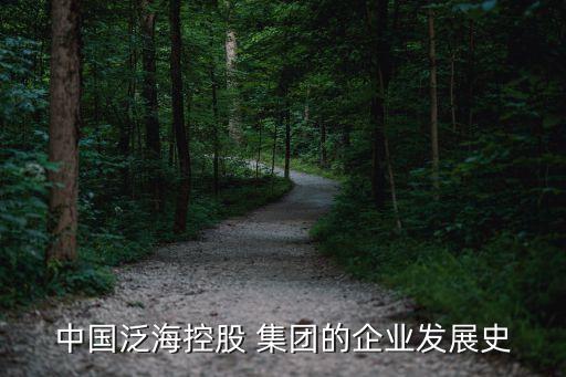 中國泛?？毓?集團(tuán)的企業(yè)發(fā)展史