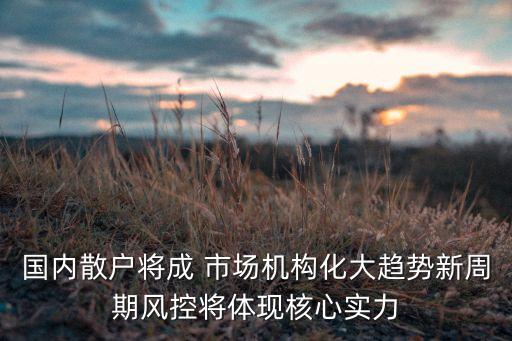 國內(nèi)散戶將成 市場機(jī)構(gòu)化大趨勢新周期風(fēng)控將體現(xiàn)核心實(shí)力