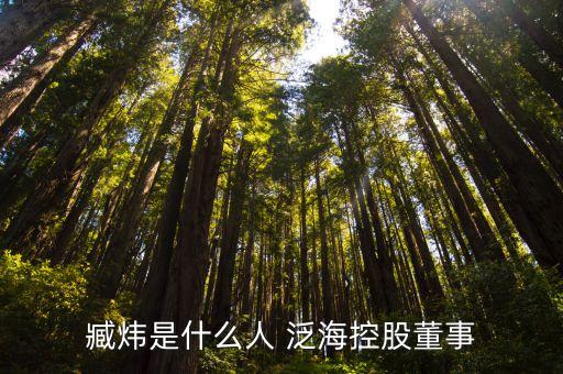 臧煒是什么人 泛?？毓啥? class=