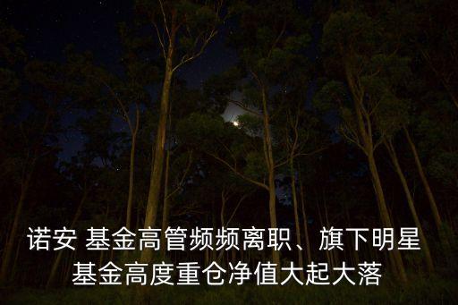 諾安 基金高管頻頻離職、旗下明星 基金高度重倉凈值大起大落