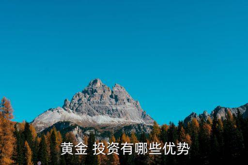 黃金投資類(lèi)型,廣西黃金投資有限責(zé)任公司