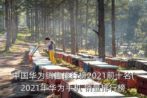 蘋果6在中國(guó)銷量,蘋果14中國(guó)銷量如何