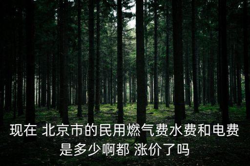 現(xiàn)在 北京市的民用燃?xì)赓M(fèi)水費(fèi)和電費(fèi)是多少啊都 漲價了嗎