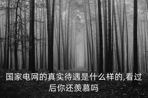國(guó)家電網(wǎng)的真實(shí)待遇是什么樣的,看過后你還羨慕嗎