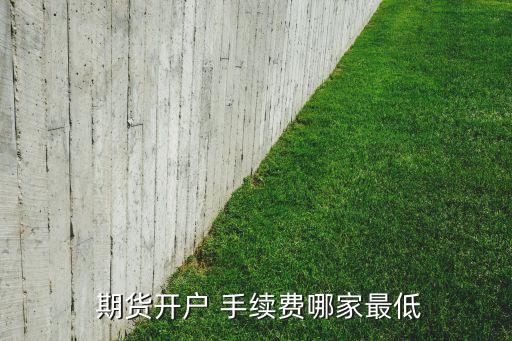 期貨公司手續(xù)費對比,國外期貨手續(xù)費與國內對比