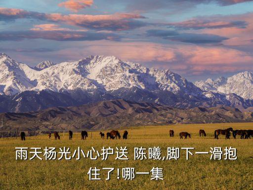 北京人民銀行總行陳曦,人民銀行上?？偛亢捅本┛傂袇^(qū)別
