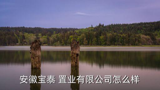 蕪湖華順置業(yè)投資有限責(zé)任公司