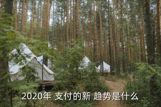 中國第三方支付變動趨勢,第三方支付發(fā)展現狀與趨勢
