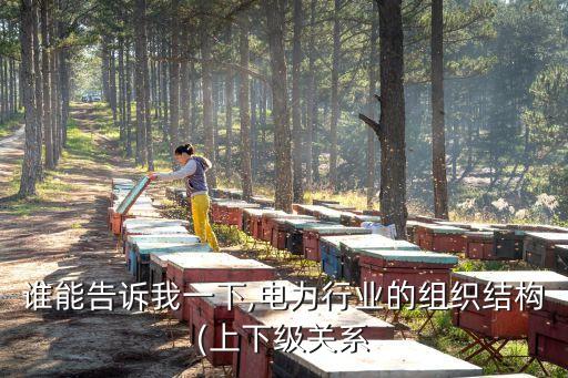 誰能告訴我一下,電力行業(yè)的組織結(jié)構(gòu)(上下級(jí)關(guān)系