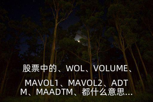  股票中的、WOL、VOLUME、MAVOL1、MAVOL2、ADTM、MAADTM、都什么意思...