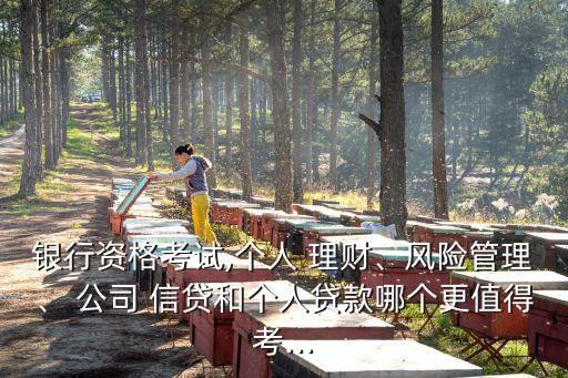 銀行資格考試,個人 理財、風(fēng)險管理、 公司 信貸和個人貸款哪個更值得考...