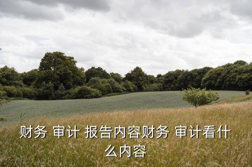 中國寶安集團(tuán)2009年審計(jì)報(bào)告