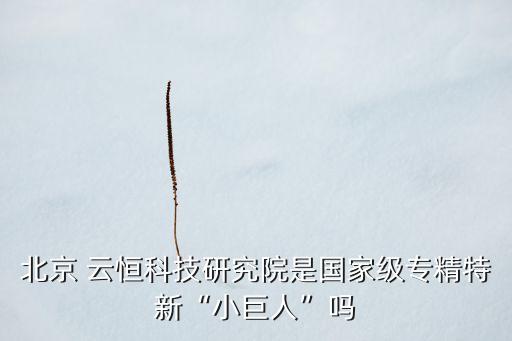 北京 云恒科技研究院是國(guó)家級(jí)專精特新“小巨人”嗎