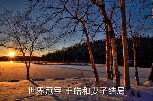 世界冠軍 王皓和妻子結局