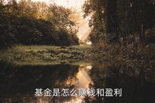  基金是怎么賺錢(qián)和盈利