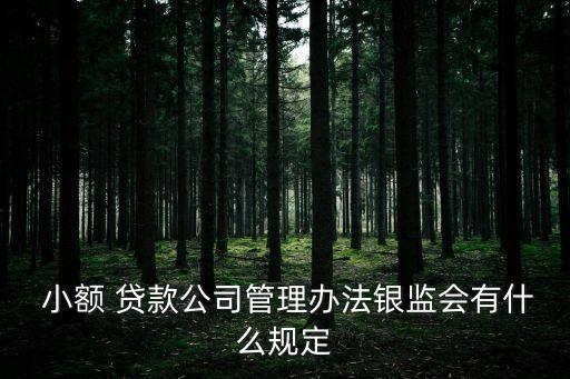 小額貸款公司能否對外提供擔(dān)保
