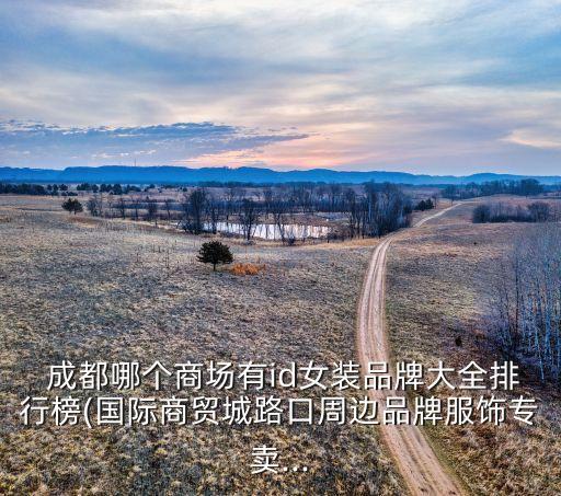  成都哪個(gè)商場有id女裝品牌大全排行榜(國際商貿(mào)城路口周邊品牌服飾專賣...
