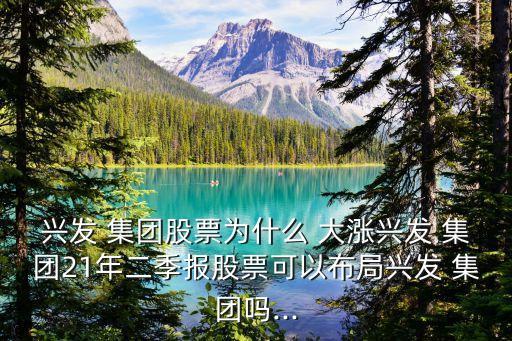 興發(fā) 集團(tuán)股票為什么 大漲興發(fā) 集團(tuán)21年二季報股票可以布局興發(fā) 集團(tuán)嗎...