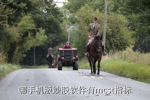 哪手機版炒股軟件有mcst指標(biāo)