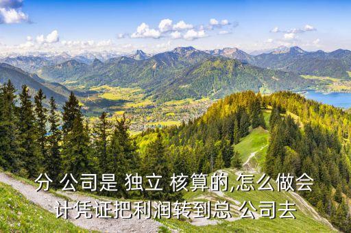 分 公司是 獨(dú)立 核算的,怎么做會(huì)計(jì)憑證把利潤轉(zhuǎn)到總 公司去