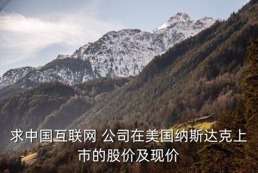 求中國互聯(lián)網(wǎng) 公司在美國納斯達(dá)克上市的股價(jià)及現(xiàn)價(jià)