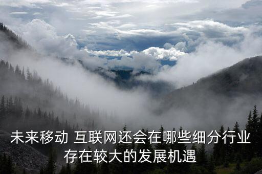 未來移動 互聯(lián)網(wǎng)還會在哪些細(xì)分行業(yè)存在較大的發(fā)展機(jī)遇