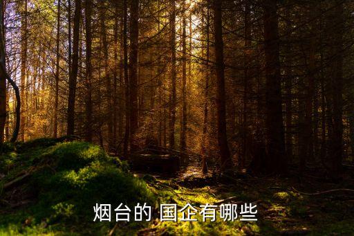 煙臺(tái)的 國企有哪些