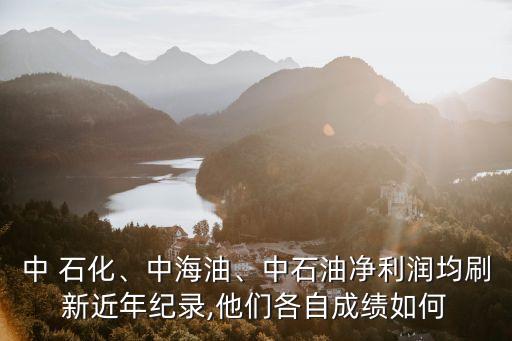 中 石化、中海油、中石油凈利潤均刷新近年紀錄,他們各自成績如何