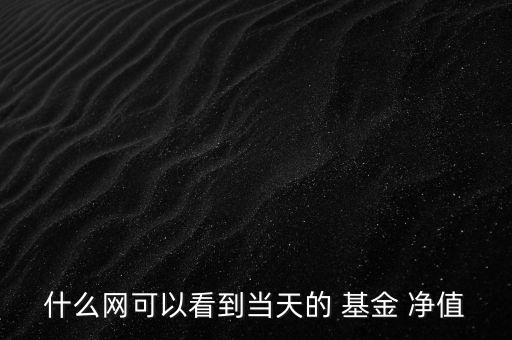 什么網(wǎng)可以看到當天的 基金 凈值