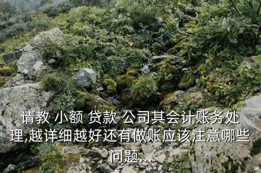請(qǐng)教 小額 貸款 公司其會(huì)計(jì)賬務(wù)處理,越詳細(xì)越好還有做賬應(yīng)該注意哪些問(wèn)題...