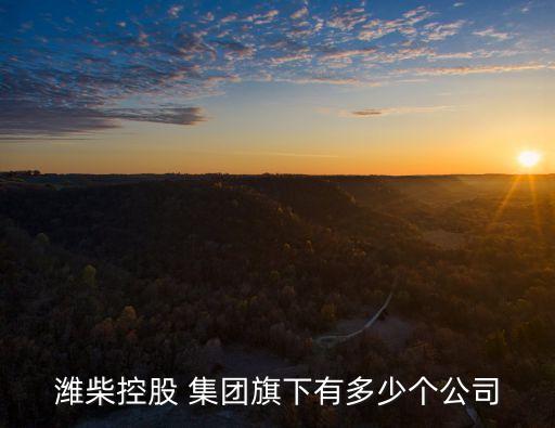 濰柴控股 集團(tuán)旗下有多少個公司