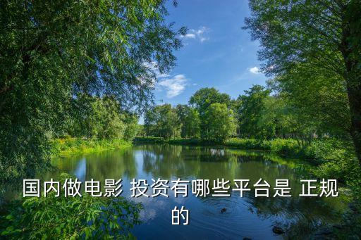 國內(nèi)做電影 投資有哪些平臺(tái)是 正規(guī)的