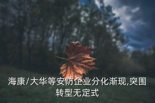 ?？?大華等安防企業(yè)分化漸現(xiàn),突圍轉(zhuǎn)型無(wú)定式