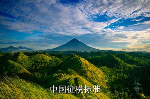 中國個(gè)人所得稅收制度,如何完善個(gè)人所得稅制度