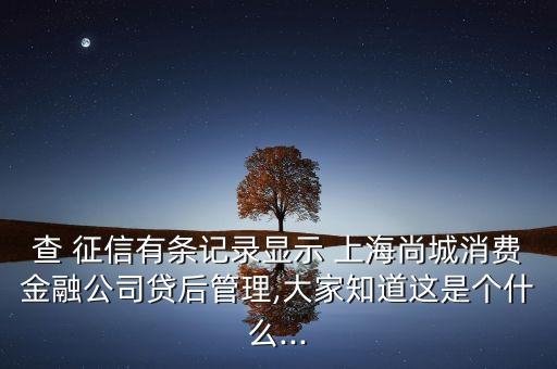 上海征信發(fā)展,中國(guó)人民銀行征信中心上海