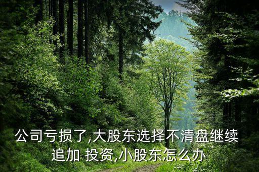 公司虧損了,大股東選擇不清盤(pán)繼續(xù) 追加 投資,小股東怎么辦
