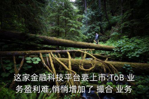 這家金融科技平臺要上市:ToB 業(yè)務(wù)盈利難,悄悄增加了 撮合 業(yè)務(wù)