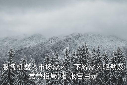 服務(wù)機(jī)器人市場(chǎng)需求、下游需求驅(qū)動(dòng)及競(jìng)爭(zhēng)格局(附 報(bào)告目錄