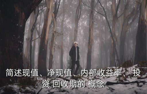 簡述現(xiàn)值、凈現(xiàn)值、內部收益率、 投資 回收期的 概念