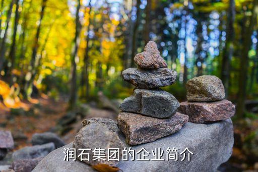 潤石集團的企業(yè)簡介
